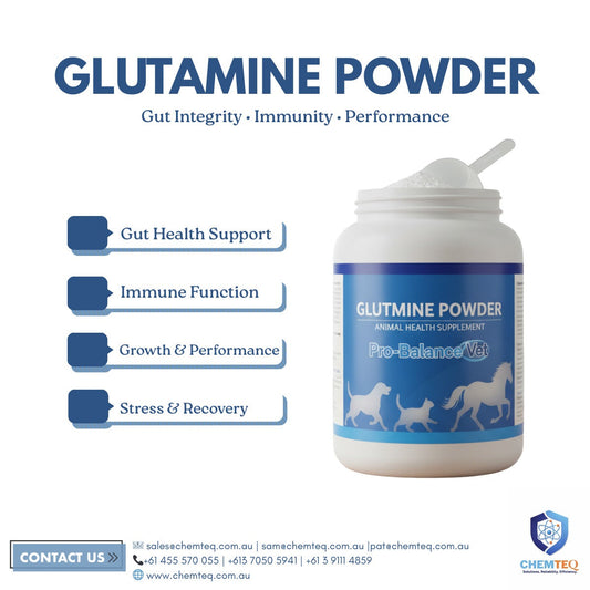 The Role of Glutamine in Animal Health & Nutrition